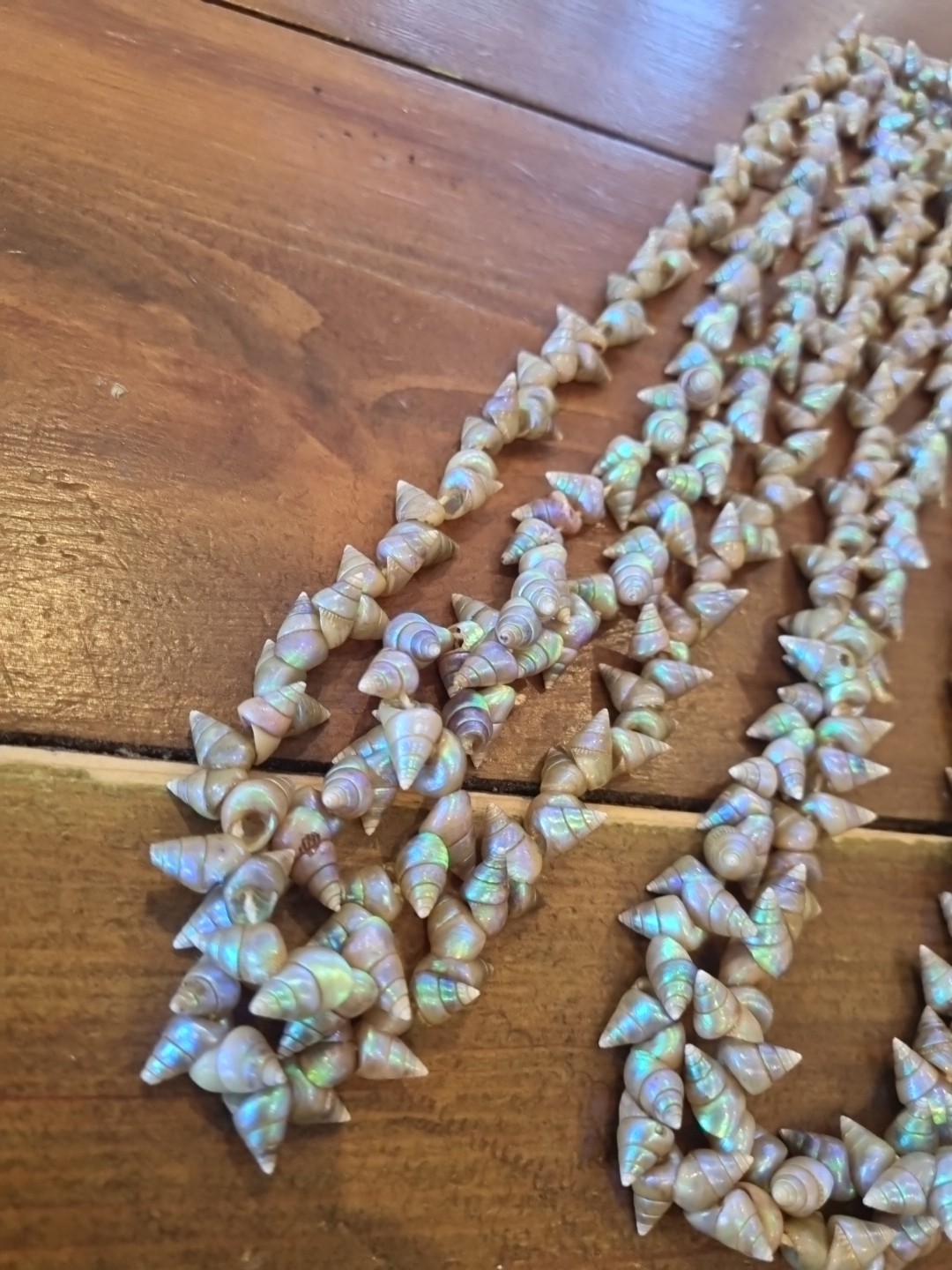 SUPERB VINTAGE TASMANIAN ABORIGINAL MAIREENER SHELL NECKLACE LONG 123cms 1930s