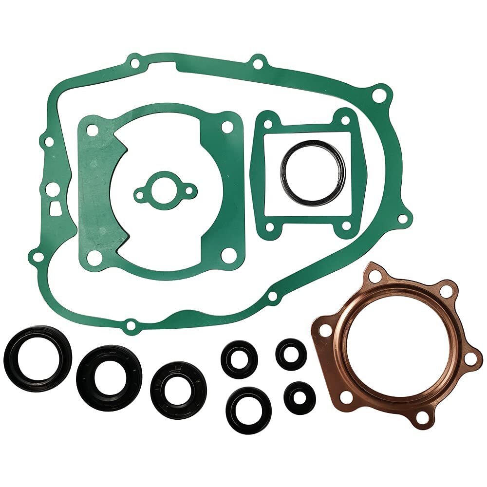 Engine Head Gasket Kit & Oil Seals for Yamaha Blaster 200 YFS200 1988-2006