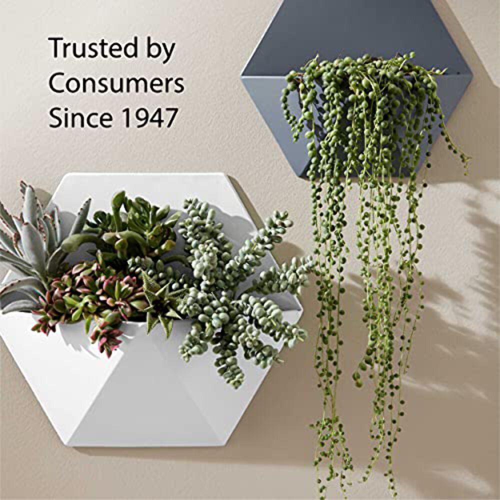 Krylon K05515007 COLORmaxx Acrylic Clear Finish for Indoor/Outdoor Use, Gloss Cr