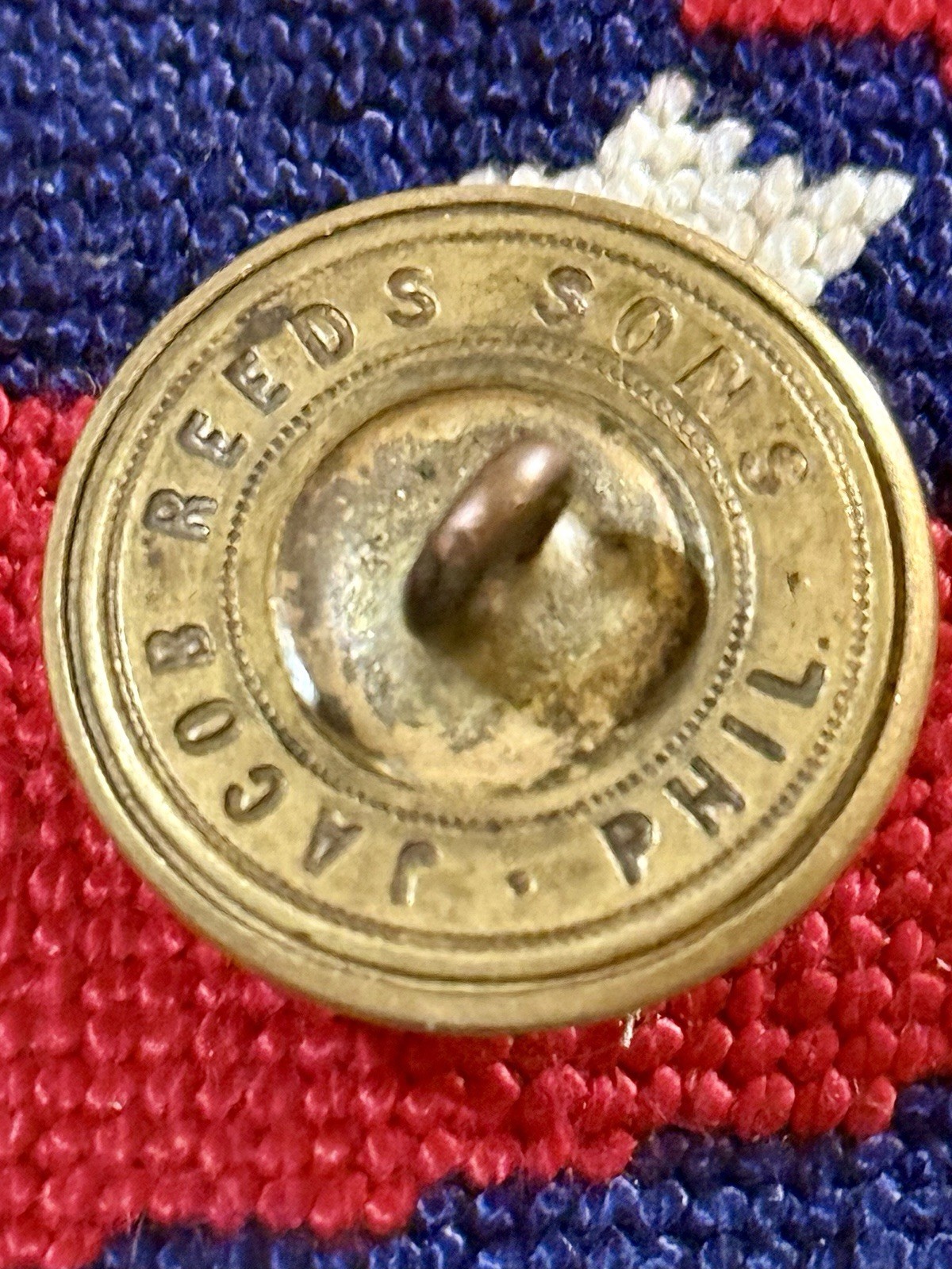 SC Palmetto Civil War Coat Button Jacob Reeds Sons Excellent Gilt Bubble Style