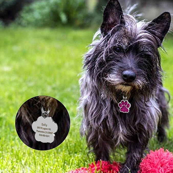 Pet ID Tag Custom Engraved Personalized Dog Cat Name Tages Double Side