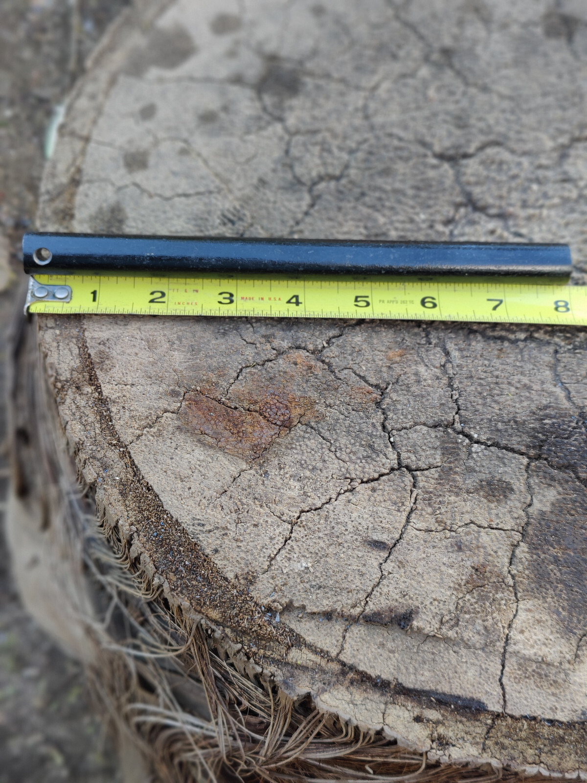 Bushcraft 5/8" diameter by 8" or 5" long ferrocerium rod mischmetal ferro rod