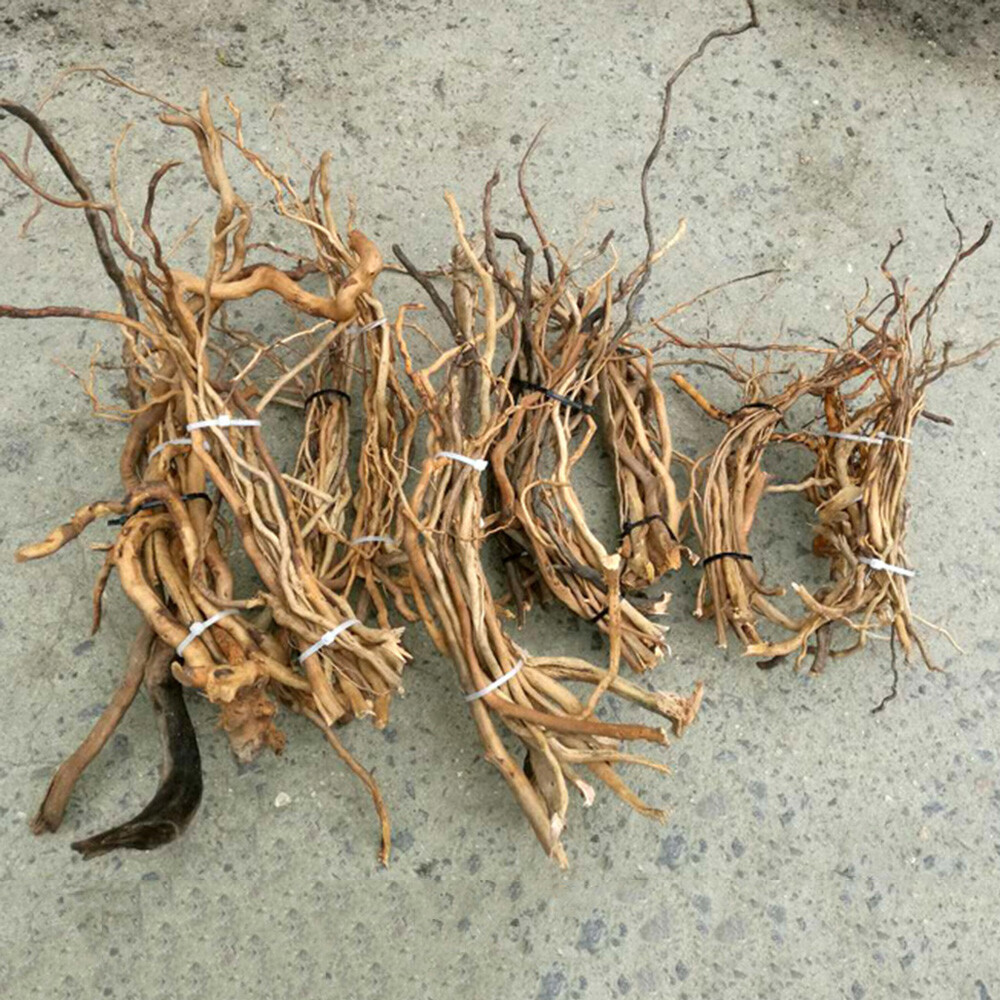 US Natural Driftwood Aquarium Root Trunk Tree Fish Tank Landscape Plant Roots