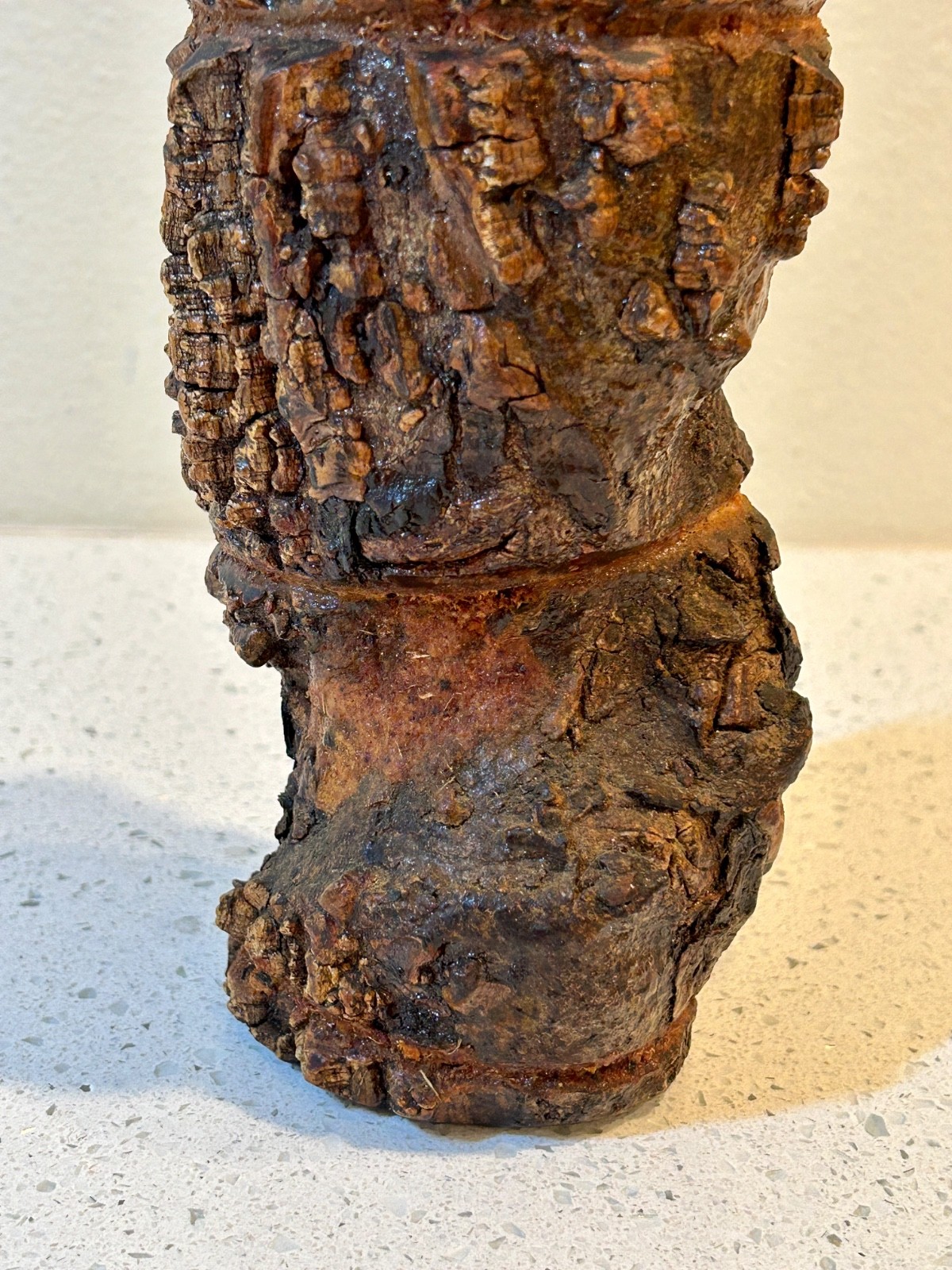 Burl Wood Bottle with Branch Handle from Parque Georgia Brazil - RARE Unusual!