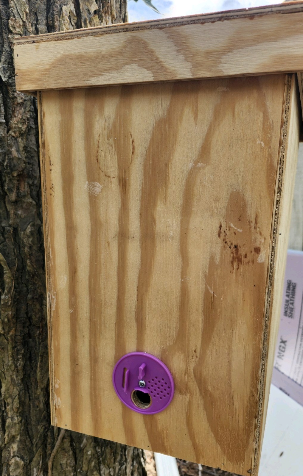 Honeybee Swarm Trap = FREE BEES!!