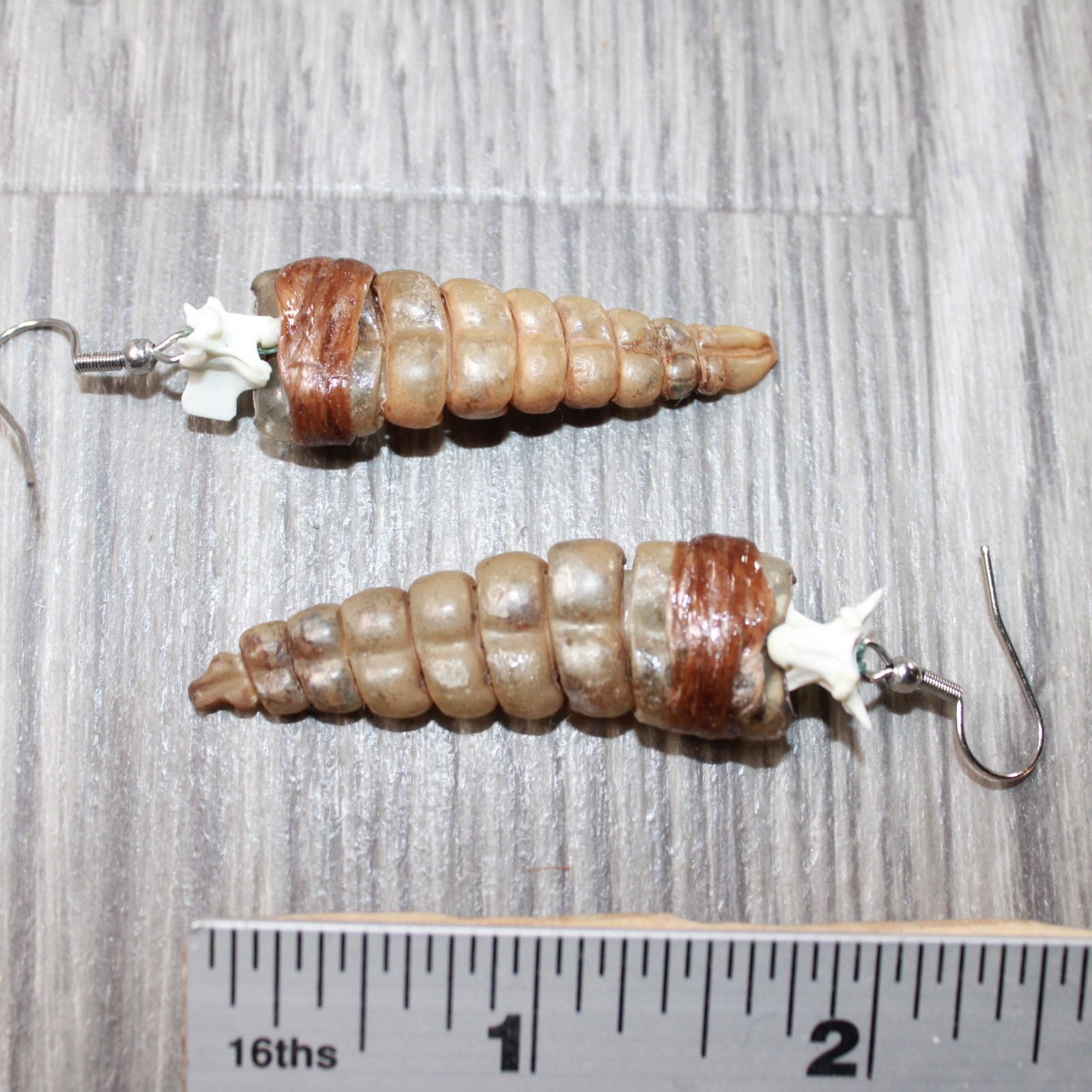 Large Rattlesnake Rattle Earrings #4562 Mountain Man Earrings