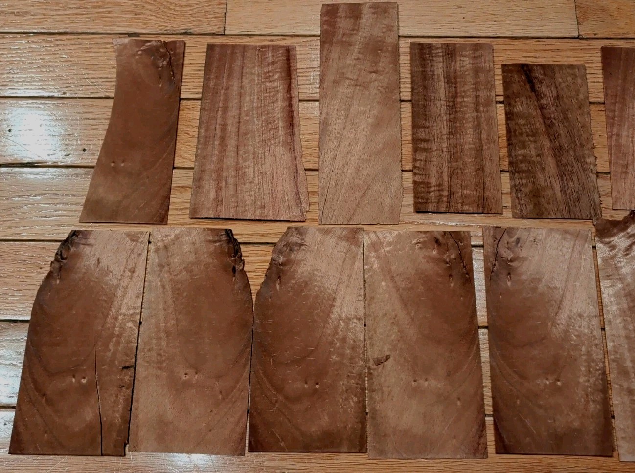8 pieces Koa wood veneer 2" x 6" & 3" raw some 1/42" + 9 more pieces cracks