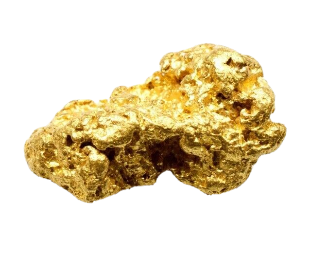 .450+ GRAMS ALASKAN YUKON BC NATURAL PURE GOLD NUGGET HAND PICKED (#G450+)
