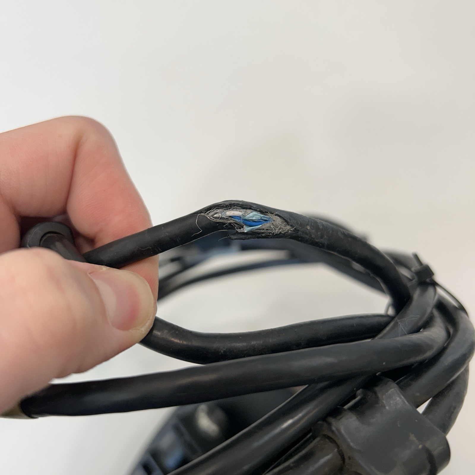 Humminbird MEGA Live Imaging Transducer