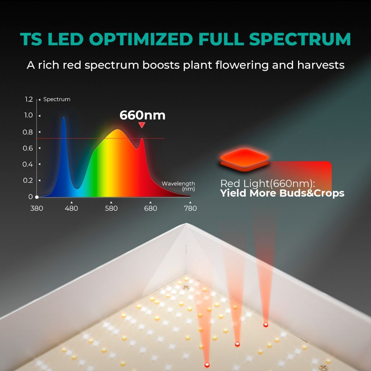 Upgrade MARS HYDRO TS 1000 LED Grow Light Full Spectrum Indoor Plants Veg Bloom