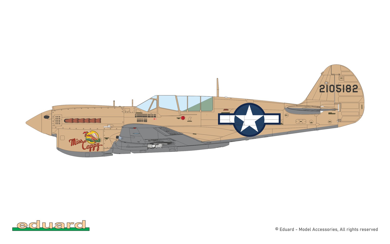 Eduard 1/48 P-40N Warhawk Royal Class Dual Combo R0025