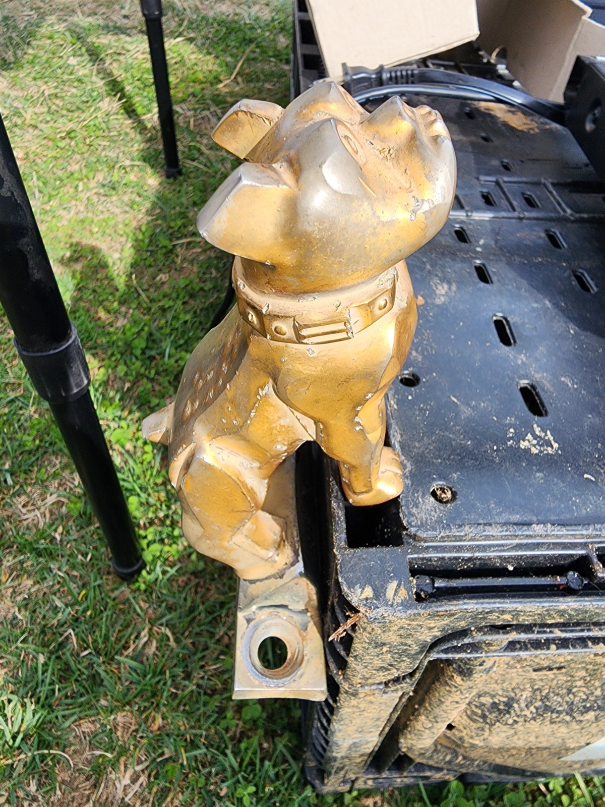 Vintage Mack Truck Bulldog GOLD BRASS Hood Ornament Emblem With Base