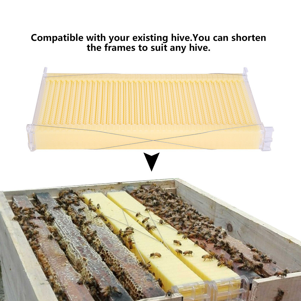 7x Auto Seeping Beehive Honey Hive Frames+Beekeeping Brood Cedarwood Box House