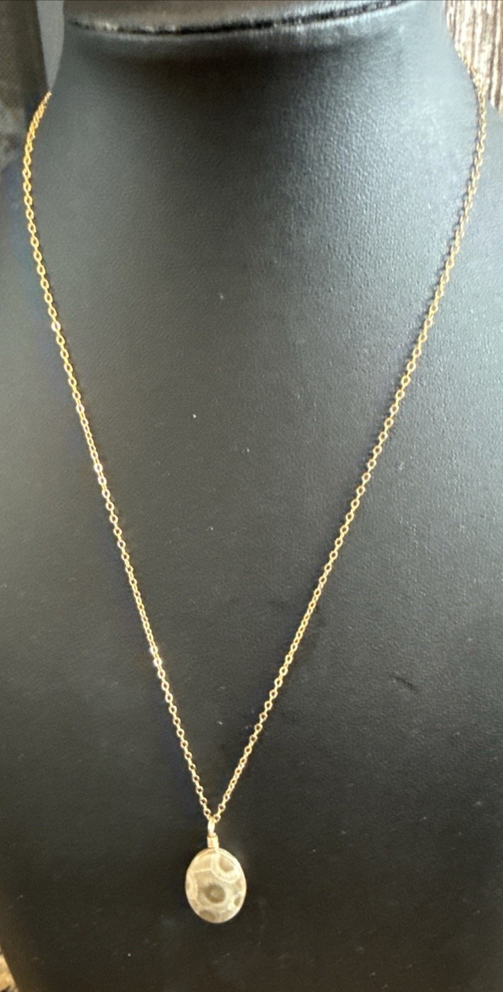 Petoskey Stone Hand Polished Pendant Necklace 1/20 GF 18” Chain