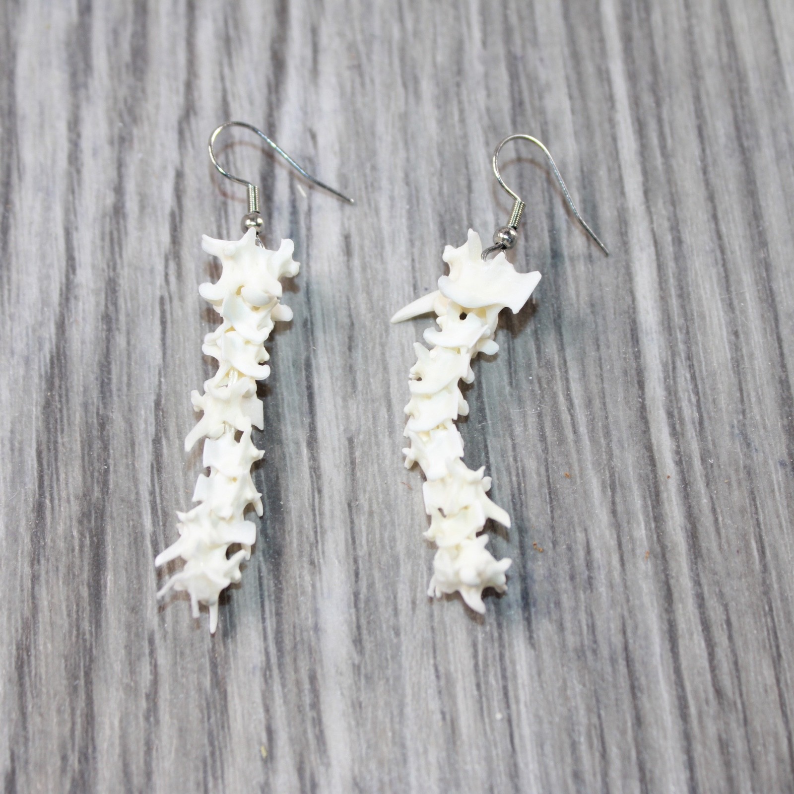 Rattlesnake Vertebrae  Earrings  #415d   Mountain Man Earrings