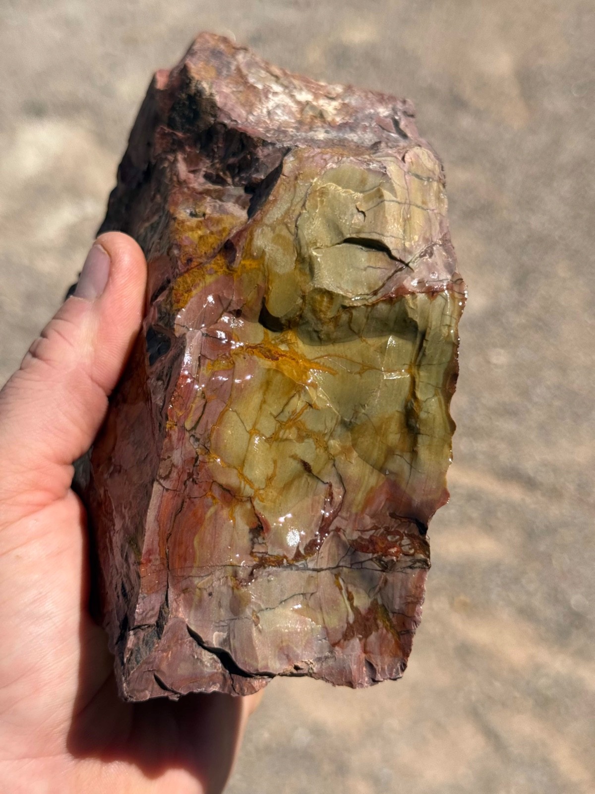 Dead Camel Jasper rough 21 pounds