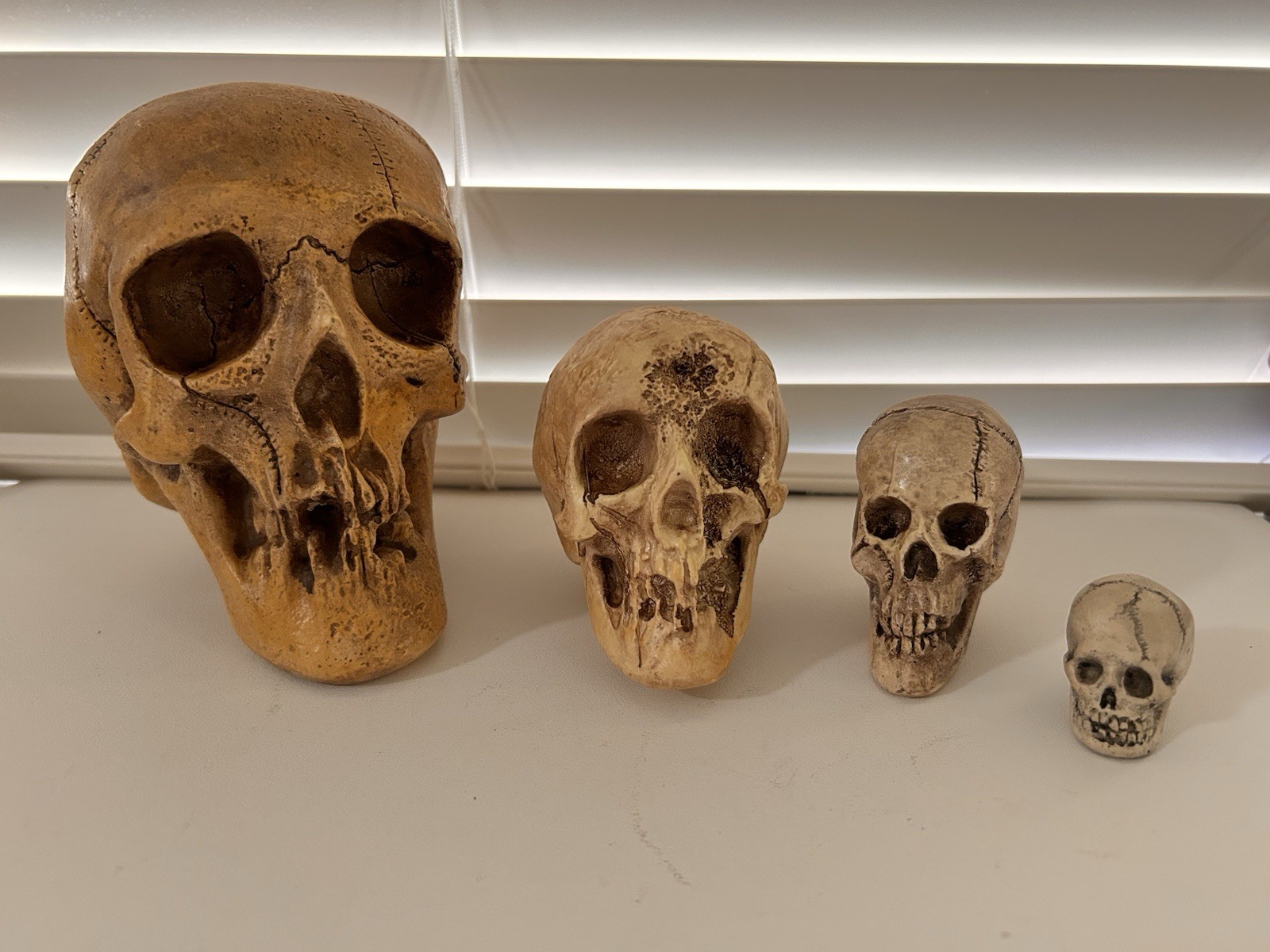 4 EA RANDOTTI ORIGINAL SKULLS LARGE, VOO DOO, PIXIE & SMALL SKULL ALL STILL GLOW