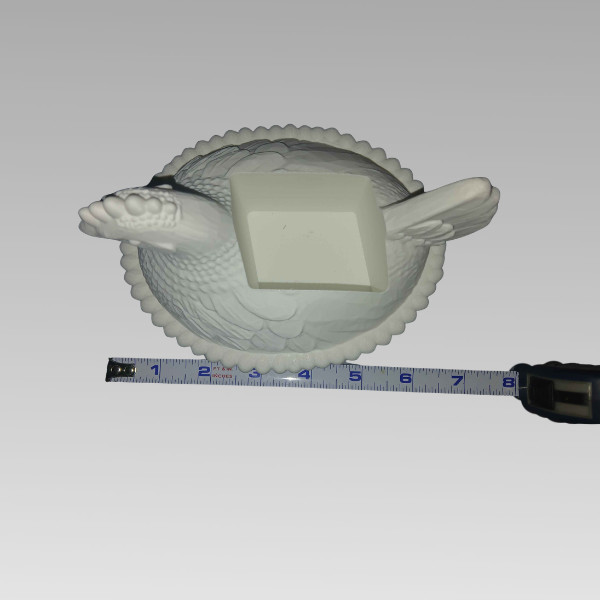 Hen On A Nest Bath And Body Works Hand soap Dispenser Country Farm House Decor