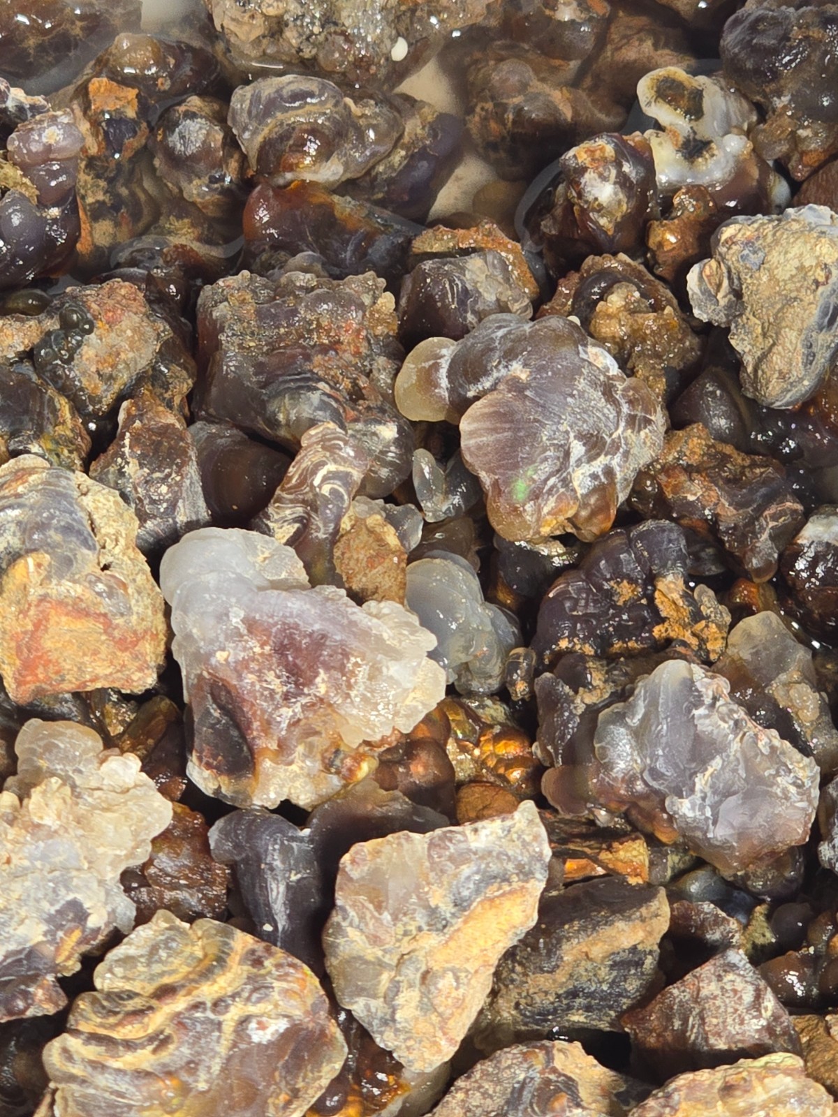 1/2 Lb Mid to Choice Grade Fire Agate Smalls Untreated Colorful Blind Grab Rough