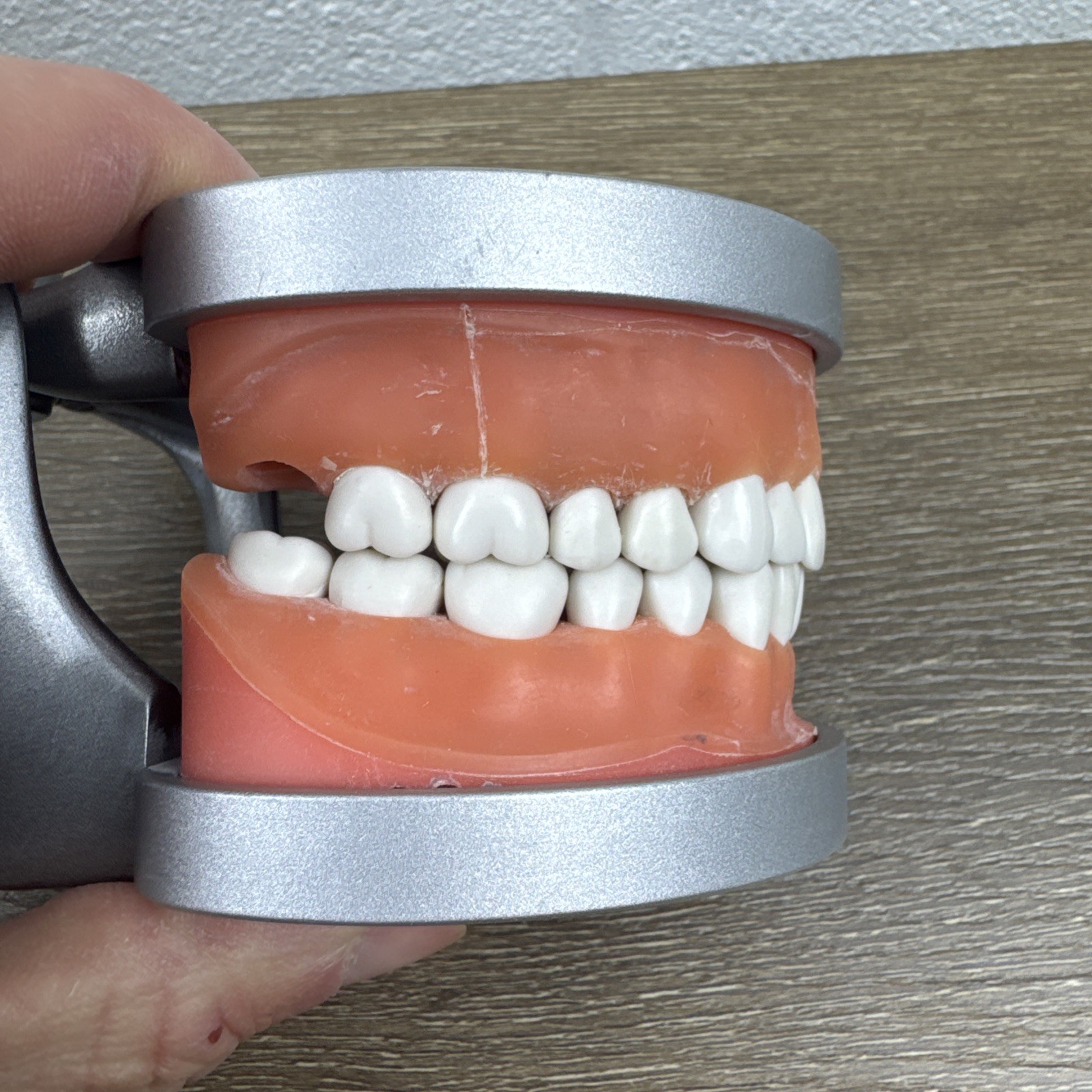 Acadental ModuPRO MP_R320 Restoration Typodont & Case WREB CDCA ADEX Teeth #58