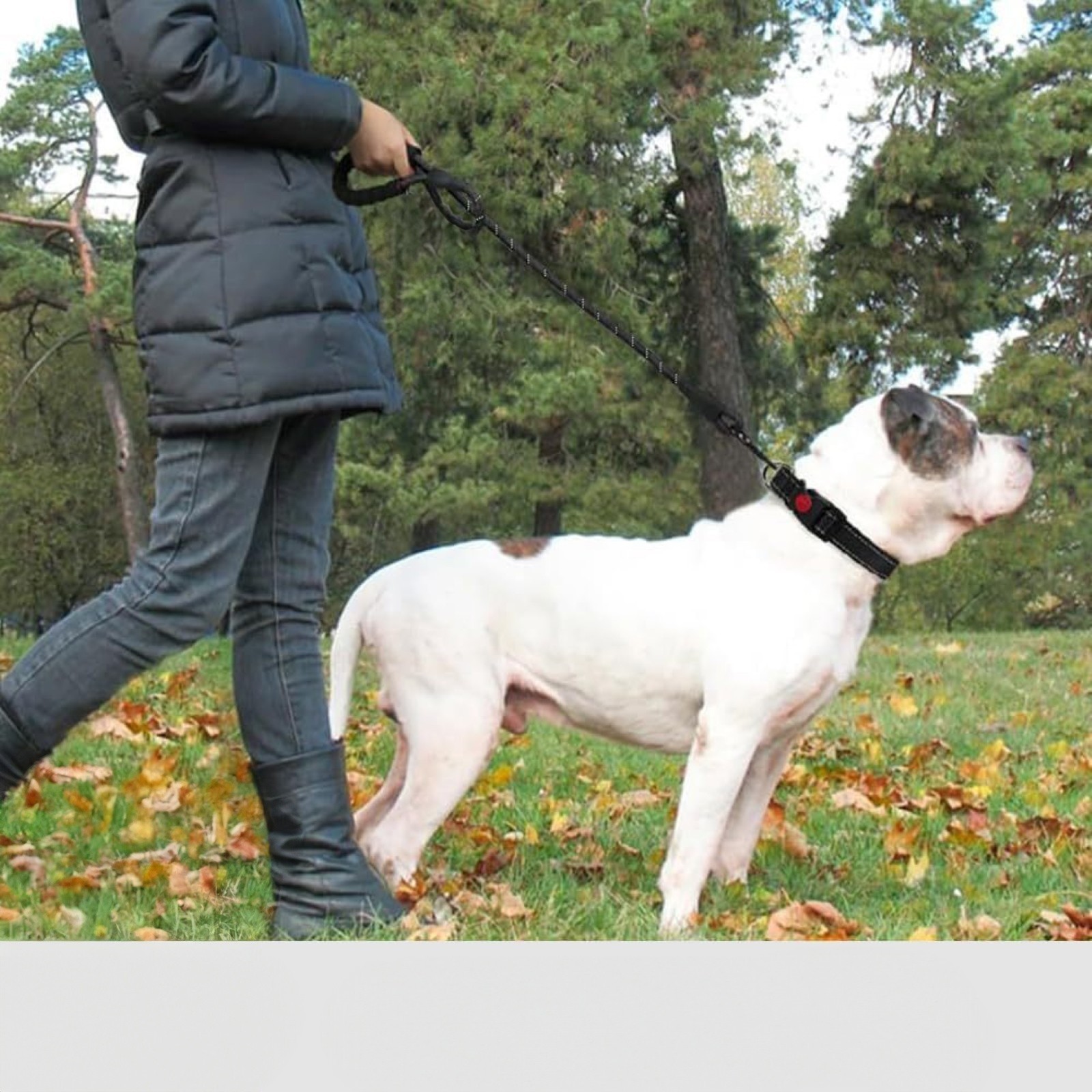 Heavy Duty Reflctive Dog Leash 9.8Ft for Large Medium Dogs Rope Walking Leash