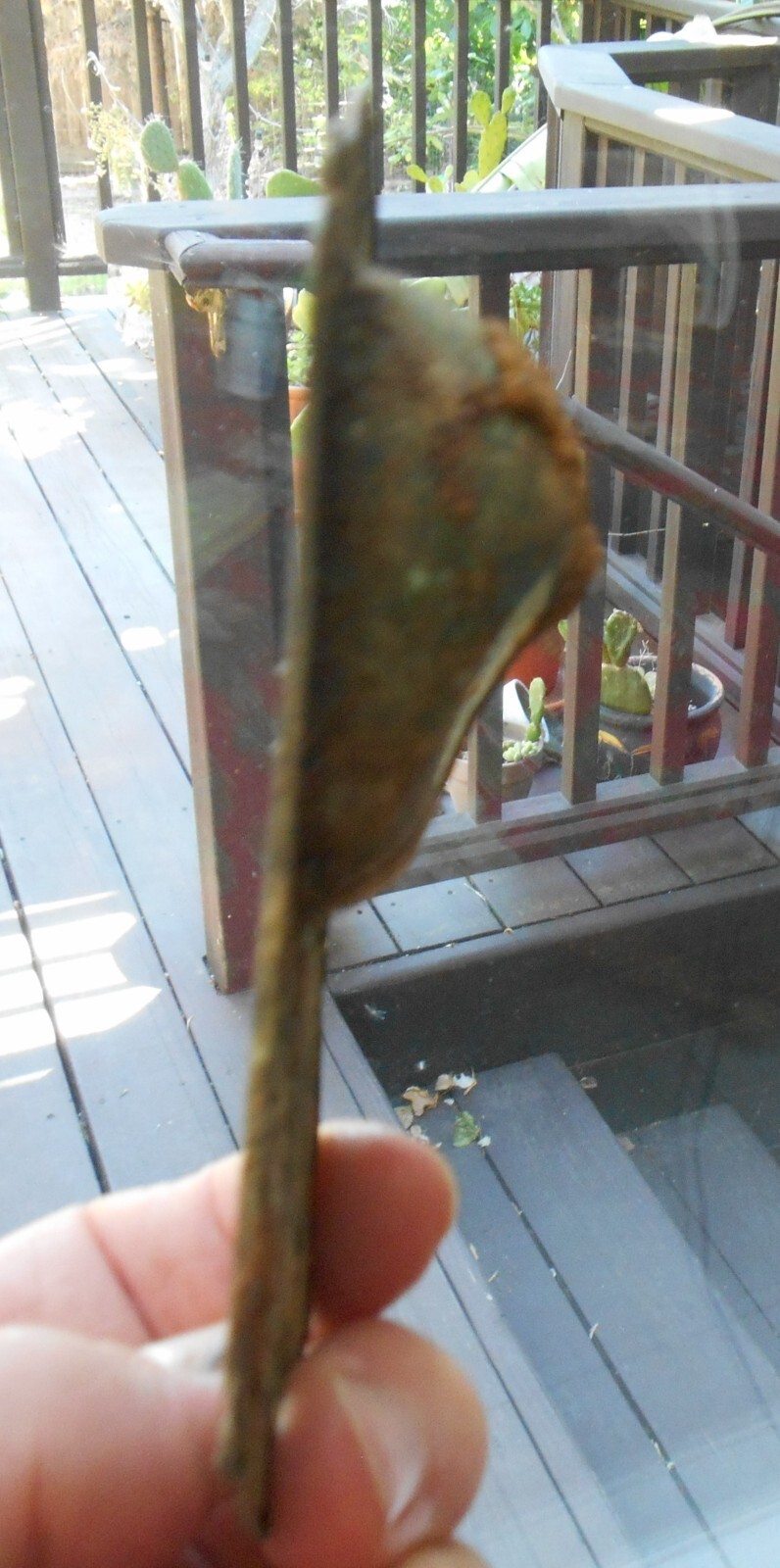 Antique c1930 RADIOTROPE NEUTRODYNE escutcheon brass plate for station indicator