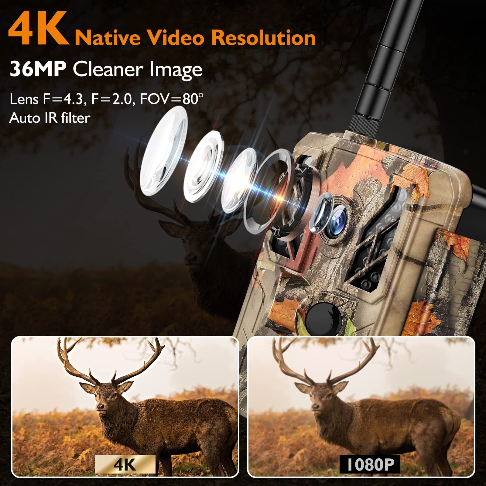 Solar Trail Camera WiFi 4K 36MP Wildlife Hunting Game Cam Nightvision Waterproof