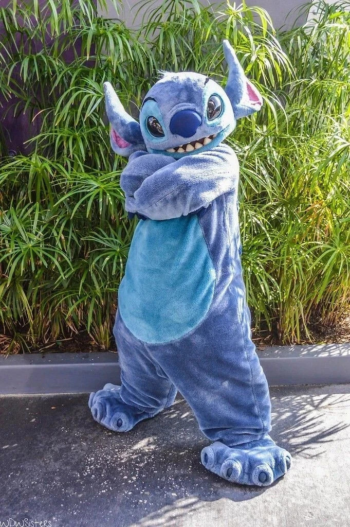 Mascot Costumes Stitch mascot clothing dress Cartoon mascot clothing