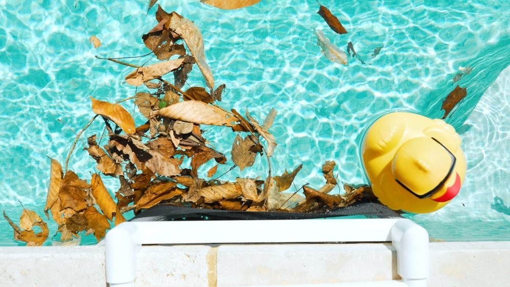 SKIMMER SAVER by Fischer for Inground Pool Skimmer