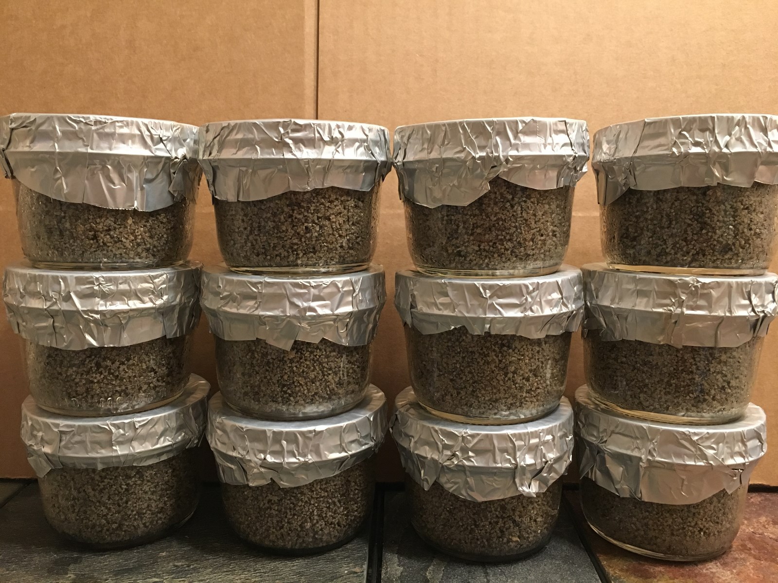 Automated Mushroom Growing Kit with 12 PF Tek Jars Sterile Substrate