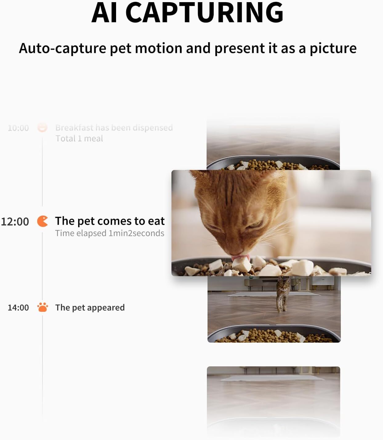 PETKIT Automatic Cat Feeder with Camera, 2.4G WiFi App Control, used