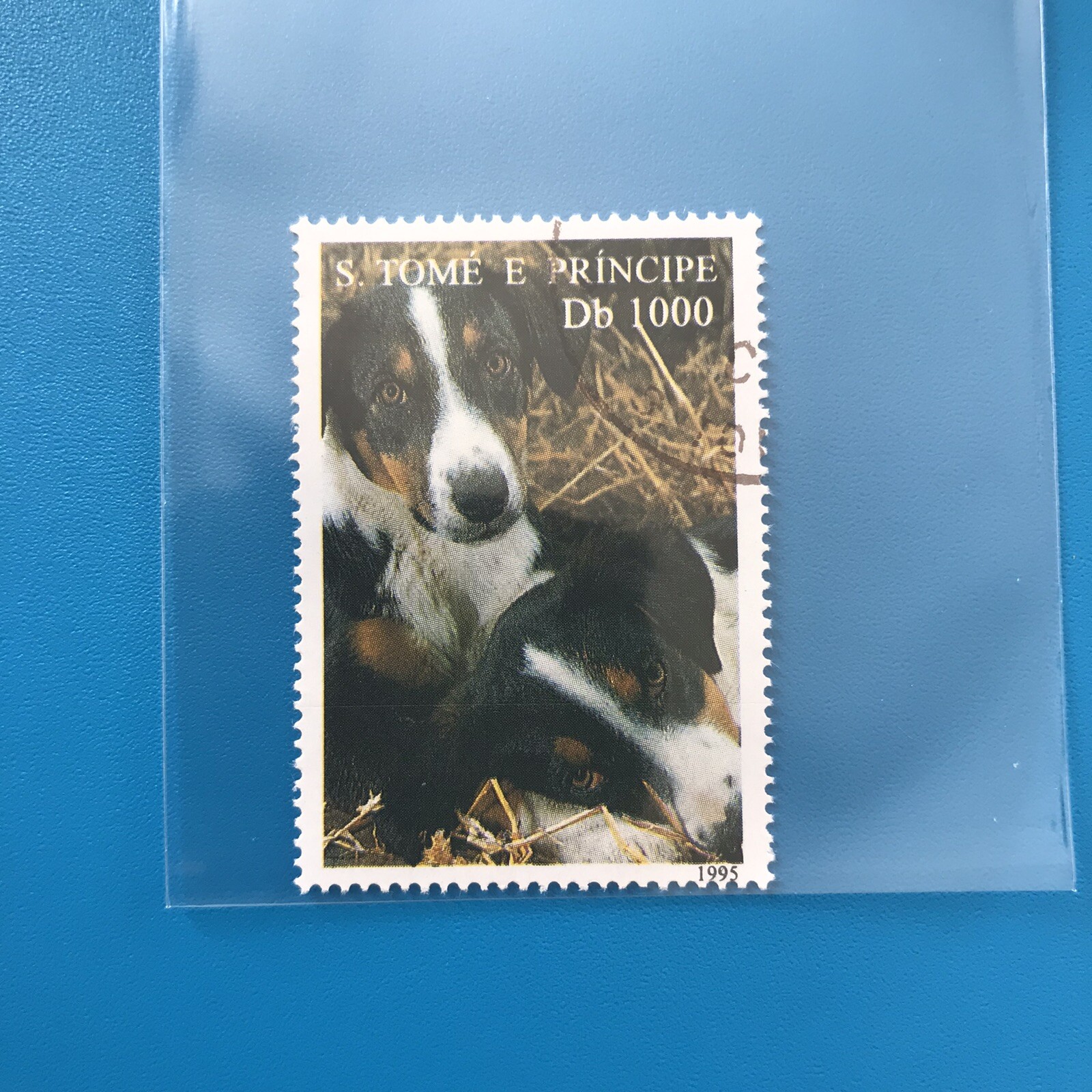 AUSTRALIAN SHEPHERD AUSSIE SHEPHERDS DOG STAMP DOGS COLLECTIBLE #16DOG