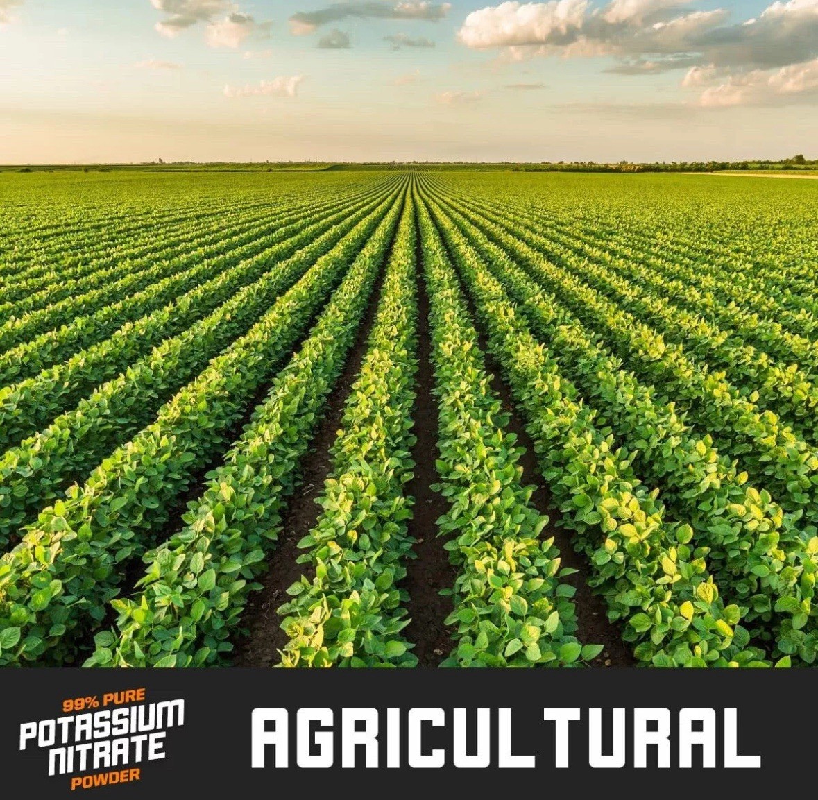 5 Lb. Stump Remover - Multi K - Drill & Pour - Easy To Use - USA made