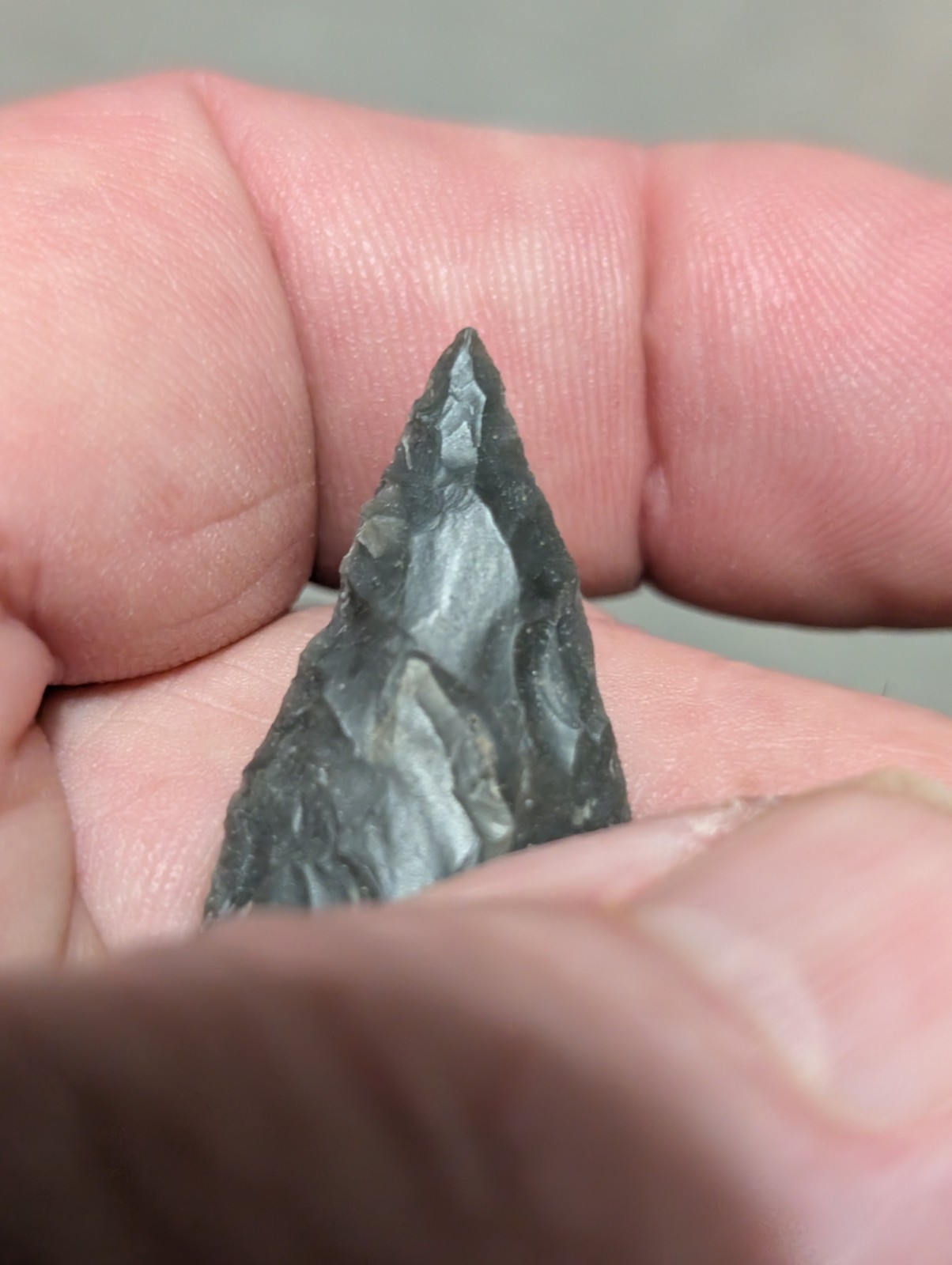 Gorgeous Copena, 2 7/16", N Ctrl Alabama, Bangor Chert, Authentic Arrowhead