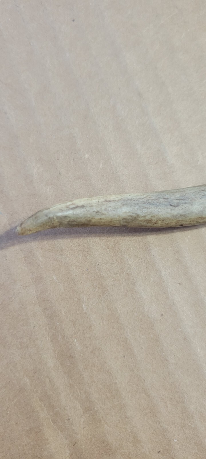 Native American Stone Blade w/Deer Antler Handle Jasper Oregon Dbl. Edge Nice!