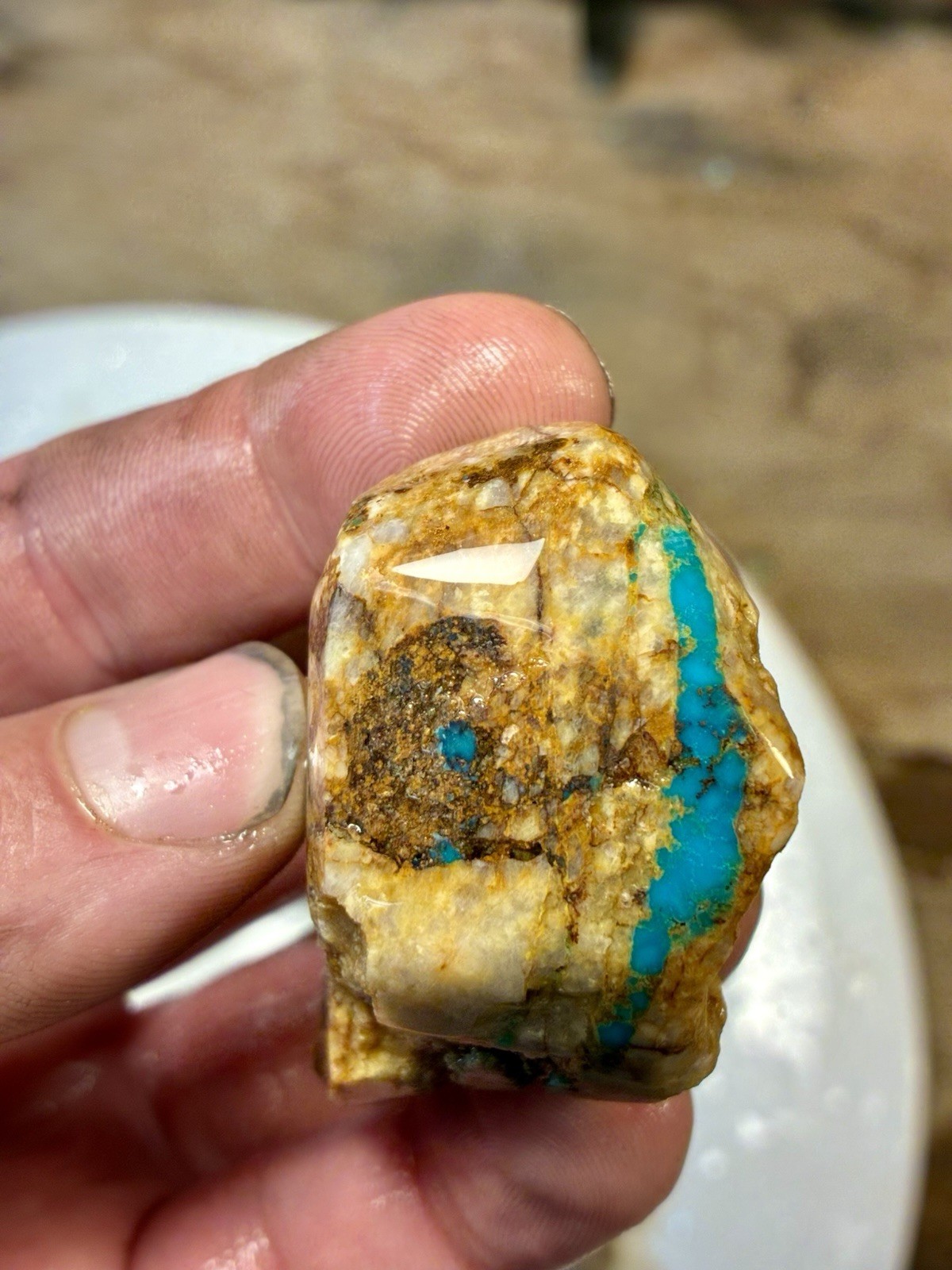 1 Lb of Skinny Turquoise Mountain Nugs! Now Available Again! ￼