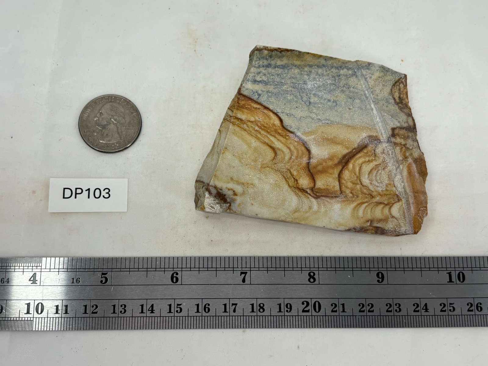 Disaster Peak Picture Jasper end slab Cabbing Lapidary Collecting Combo Ship Avl