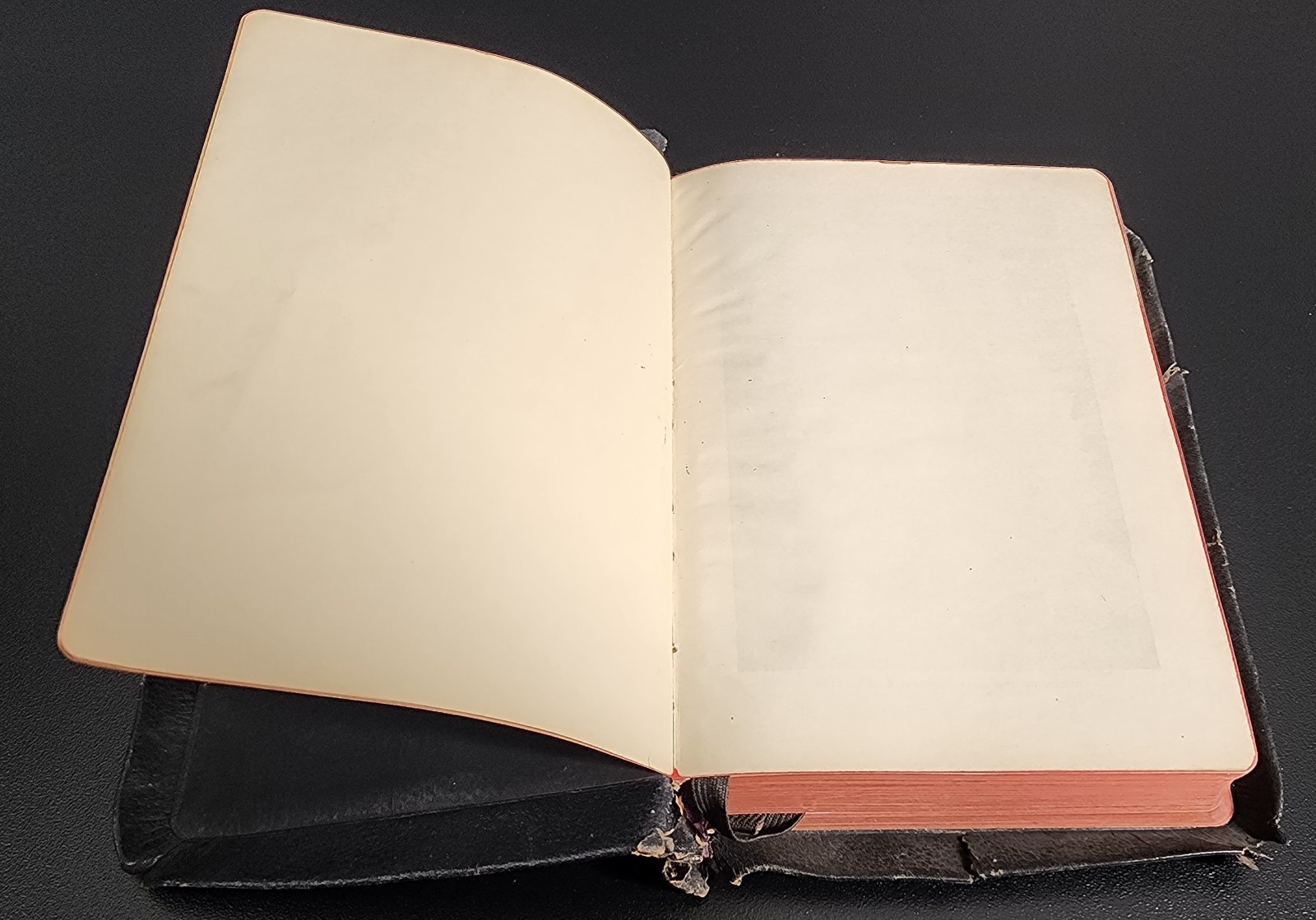 1914 Douay Rheims Holy Bible Catholic John Murphy Baltimore NY Maps Illus