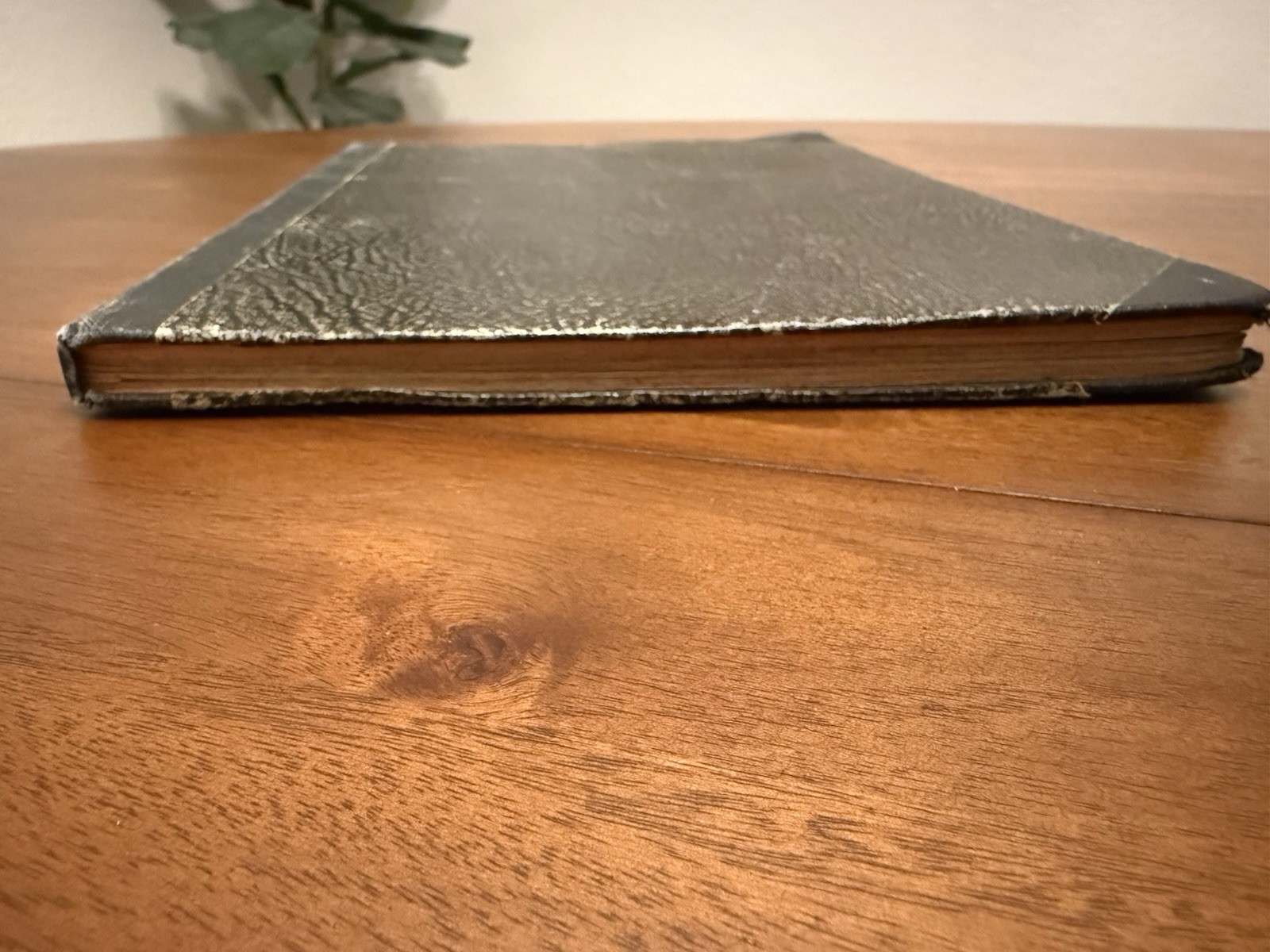 Original WW2 German Book - Heimkehrer, Hans Richter (1941)