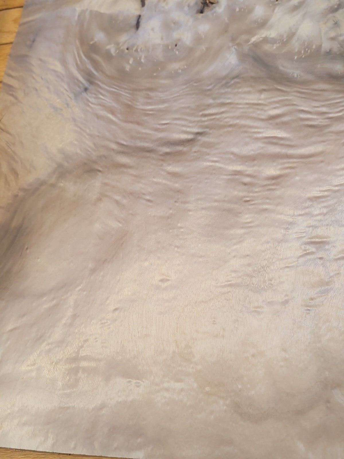 Myrtlewood veneer 26" x 16" guitar Luthier 1/42" wood flame burl holes