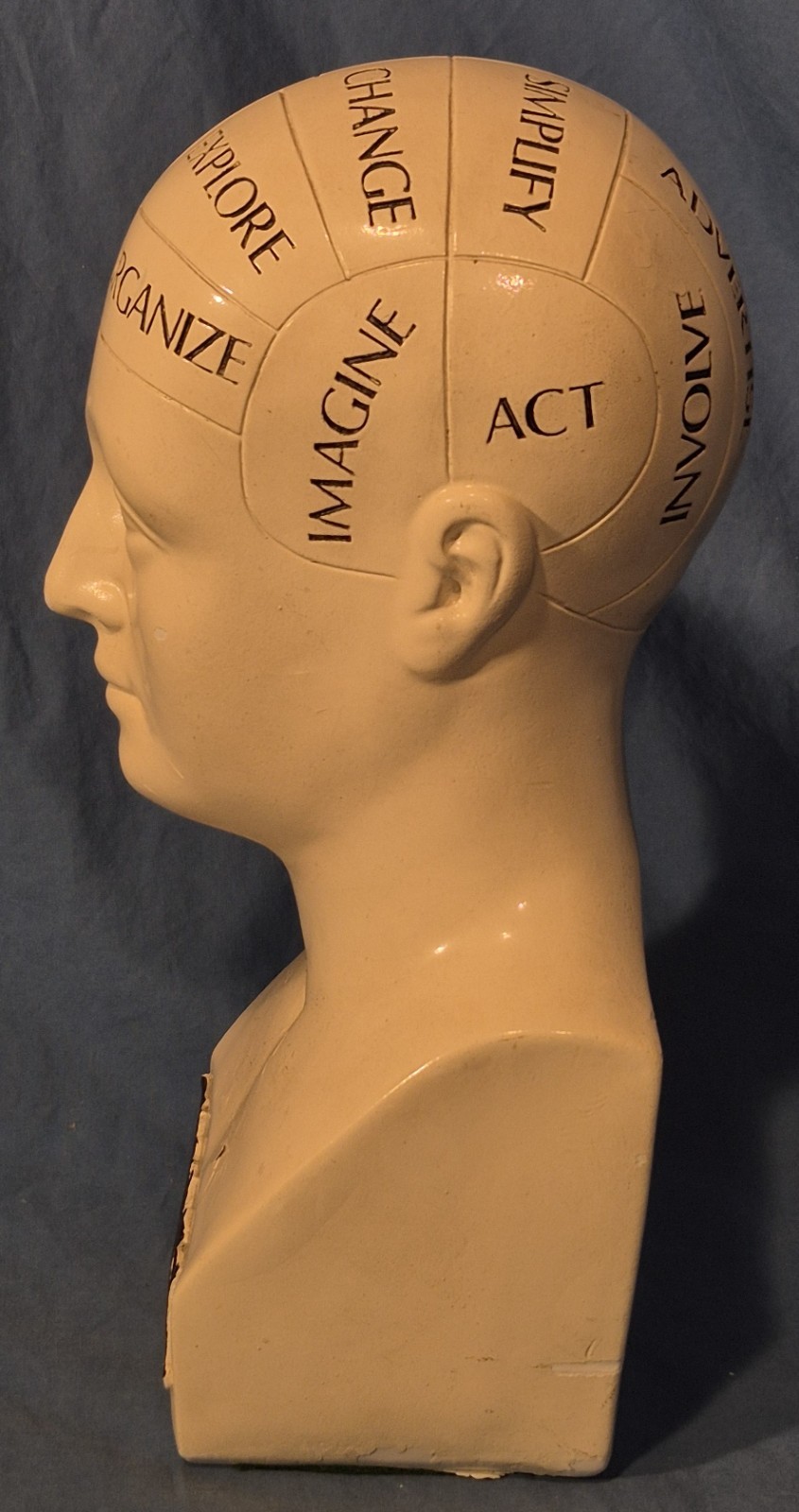 Vintage 11" Phrenology Bust / Head Statue, Chalkware (?), Scientific Psychology