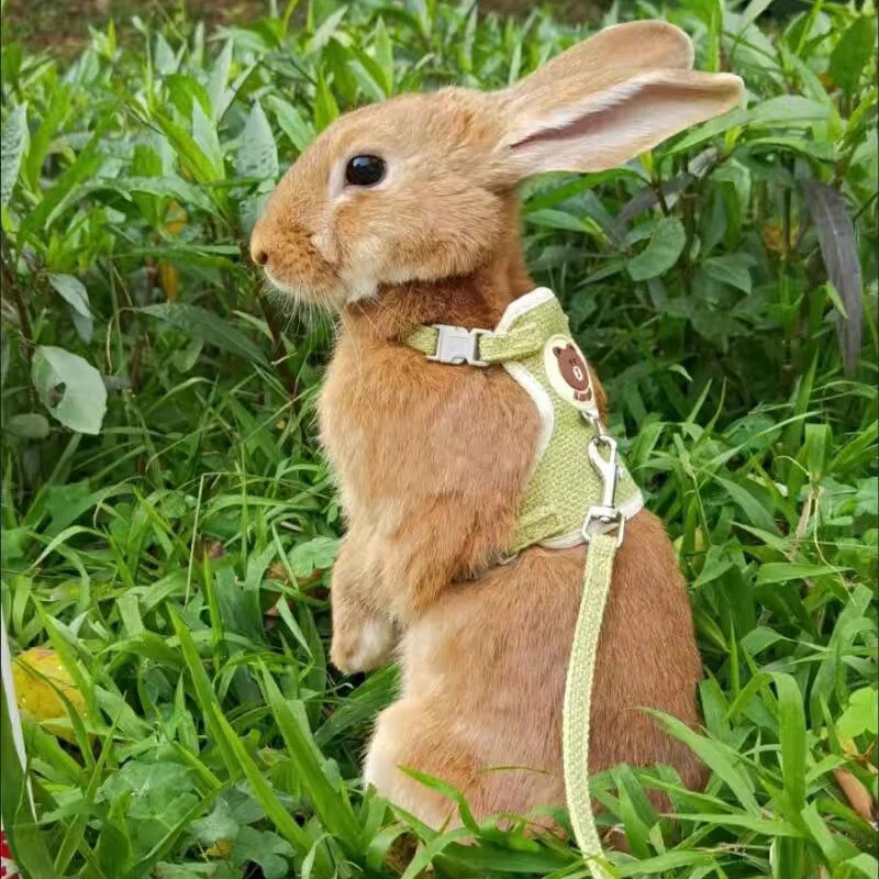 Newest Cute Rabbit Harness and Leash Set Vest Bunny Pet Accessories Supplies