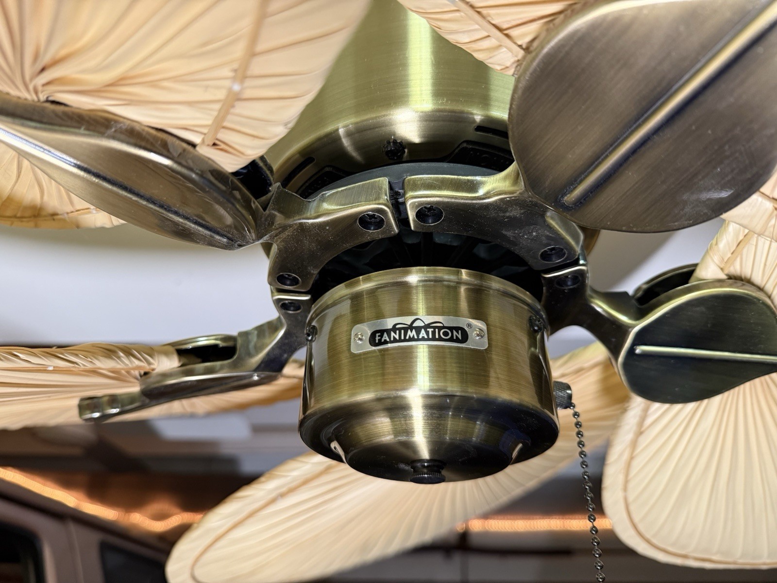 Fanimation Islander Natural Palm Blade 52” Ceiling Fan