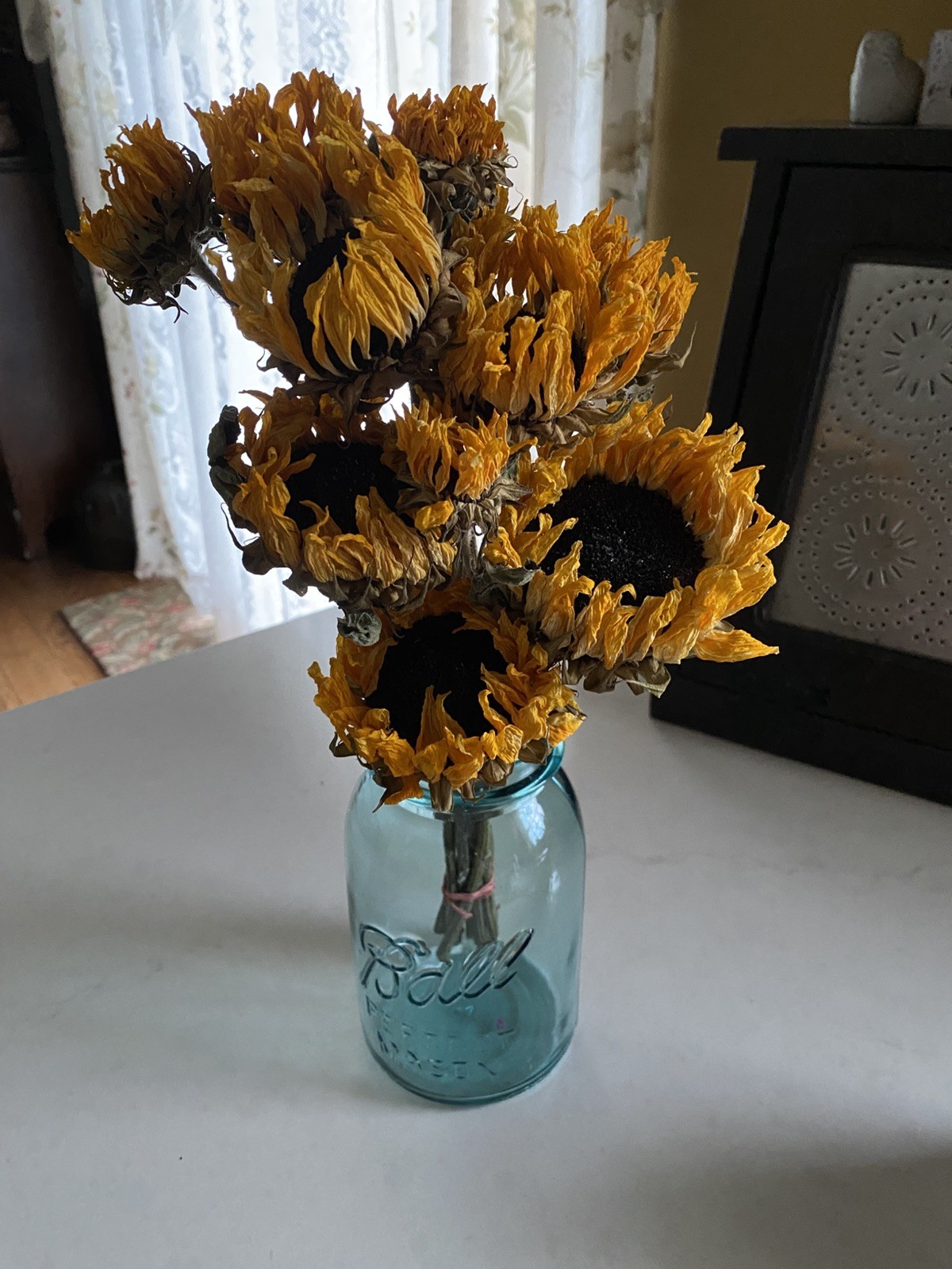 SUNFLOWERS Orange DRIED FLOWER Bunch BOUQUET Bundle USA Grown SUN FLOWERS Auc#1