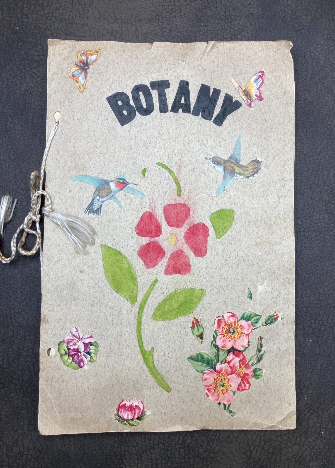 Antique 1930 Child's Botanical Pressed Flower Plant Specimen School Project Book