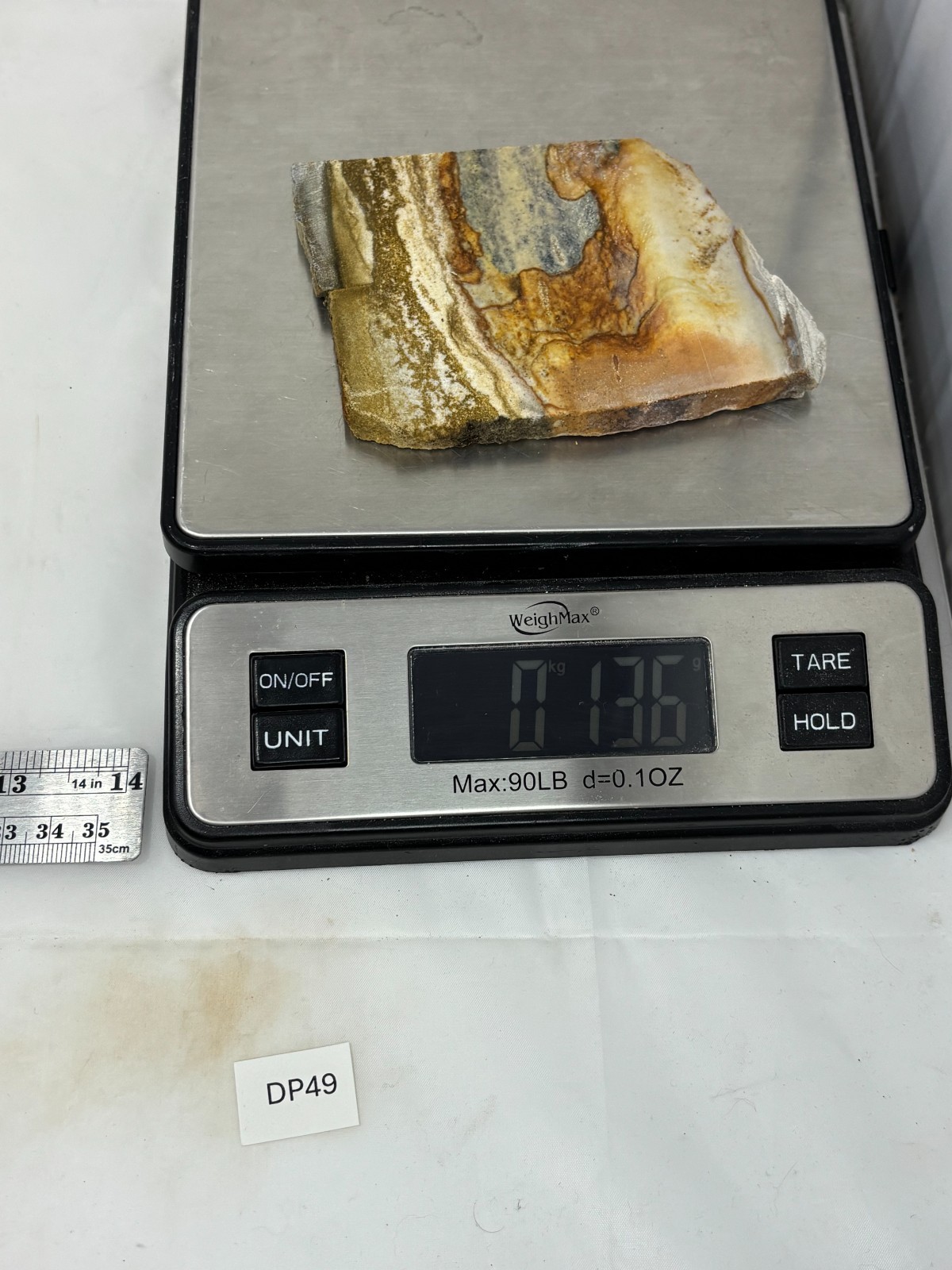 Disaster Peak Picture Jasper Slab Cabbing Lapidary Collecting Combo Ship Avail