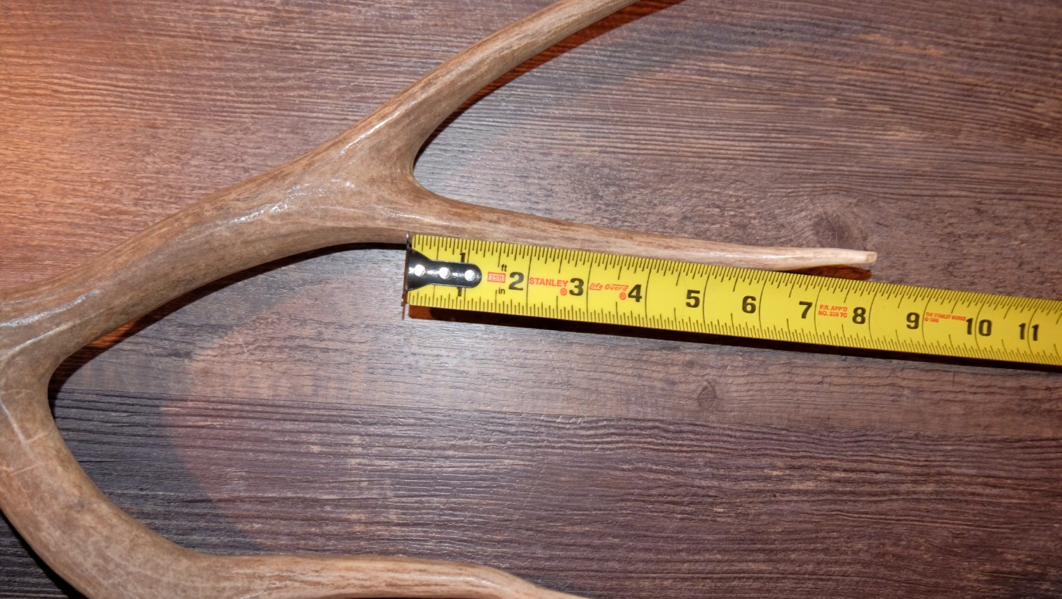 Nice Set Mule Deer Antlers Sheds Taxidermy Mount Cabin Decor Buck Horns