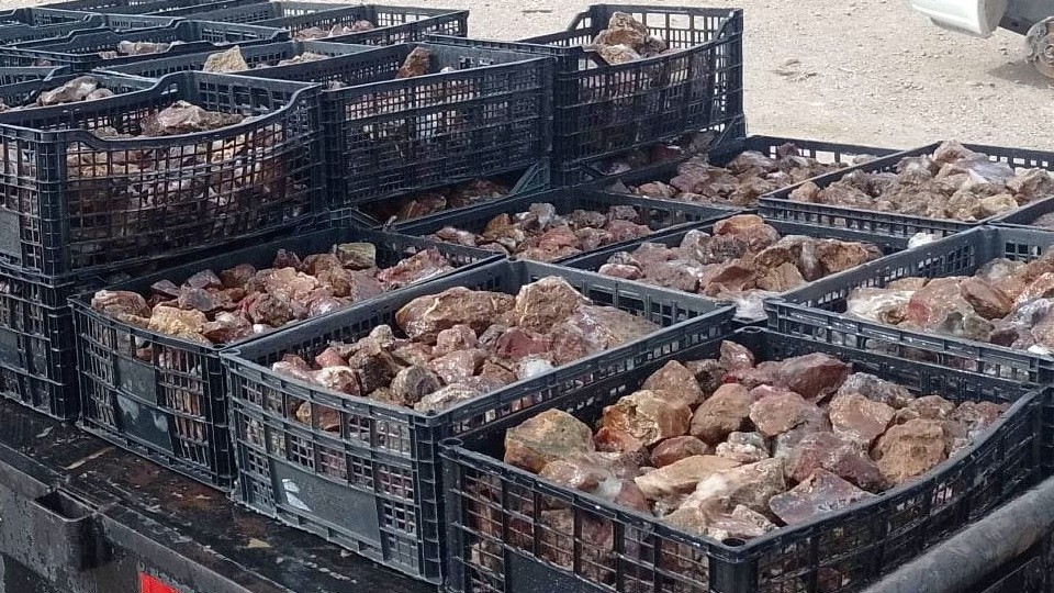 San Carlos Agate natural lapidary cabbing tumbling rough from Mexico