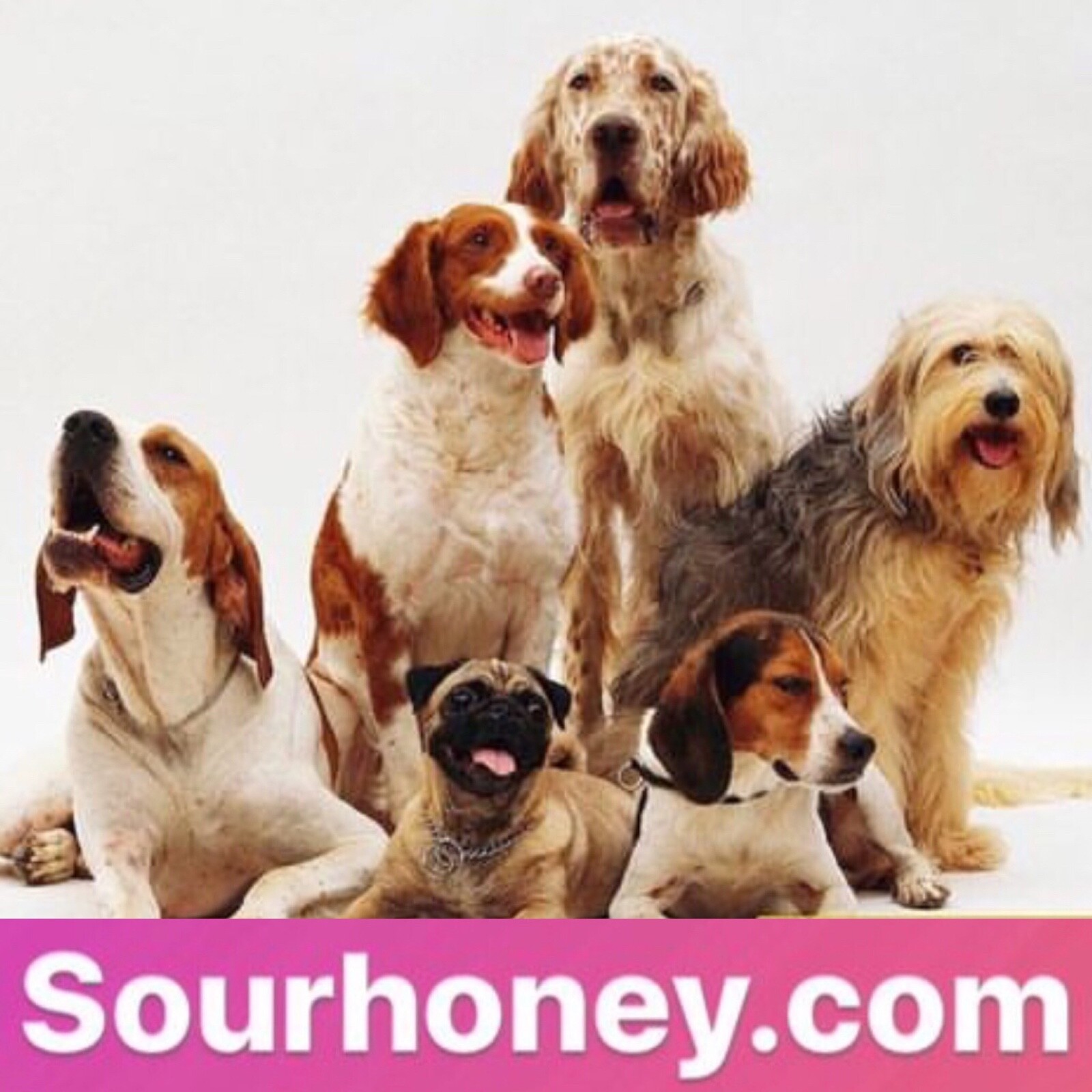 SOURHONEY.COM