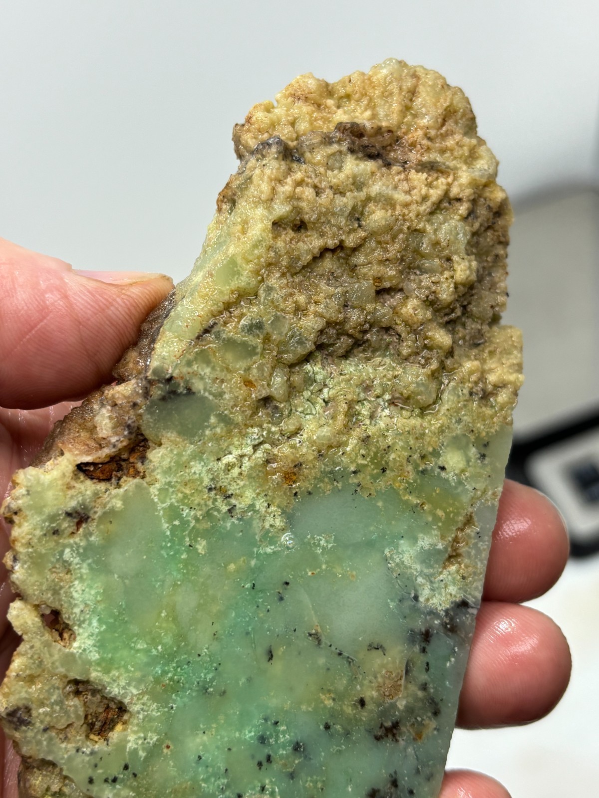 Indo Dendritic Chrysoprase Slab Cabbing Lapidary Collecting Combo Ship Avail